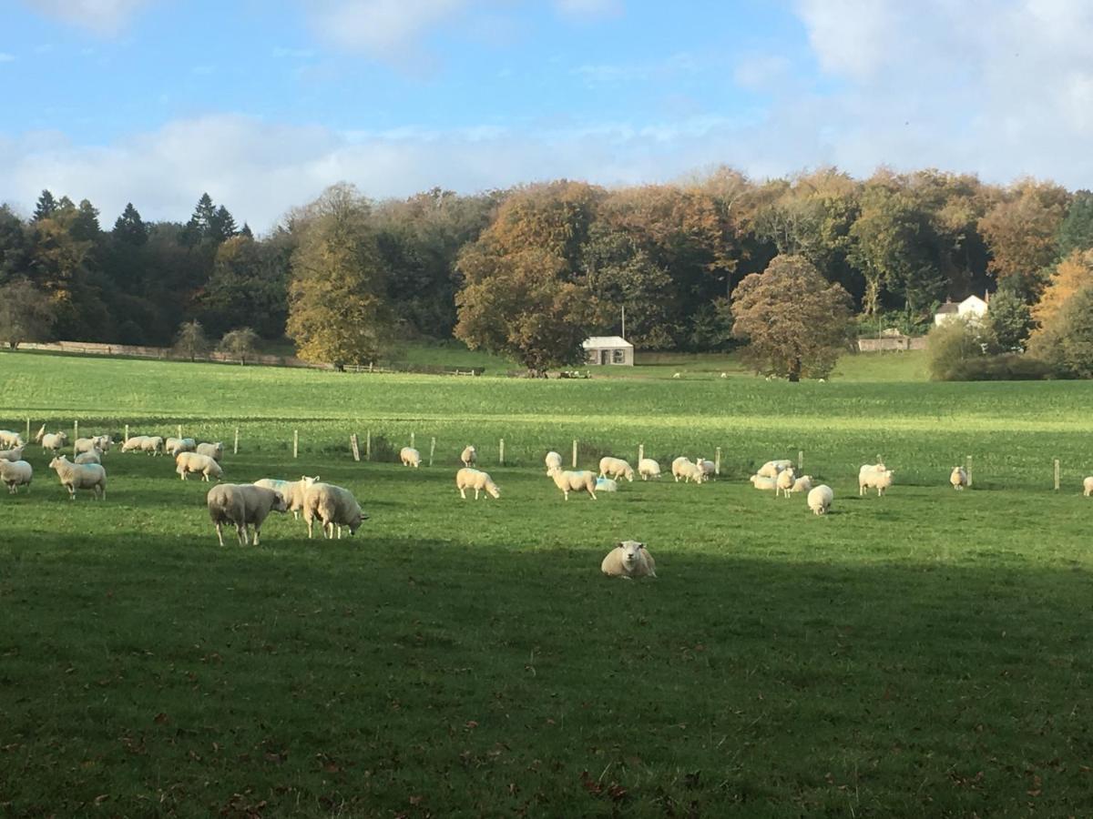 Penbedw Uchaf Estate - Rural Retreats, Tennis Молд Экстерьер фото